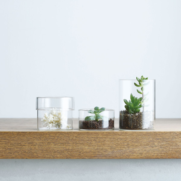 Aufbewahrungsgläser Schale glass CASE von KINTO Design - Glasbehälter mit Glasdeckel - Szenebild Pflanzen