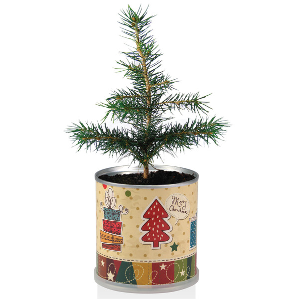 MacFlowers Christbaum aus der Dose mit wachsendem Weihnachtsbaum - Motiv nostalgisch.
