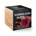 ecocube Holzwürfel mit Samen - Schokoladenblume - Feel Green