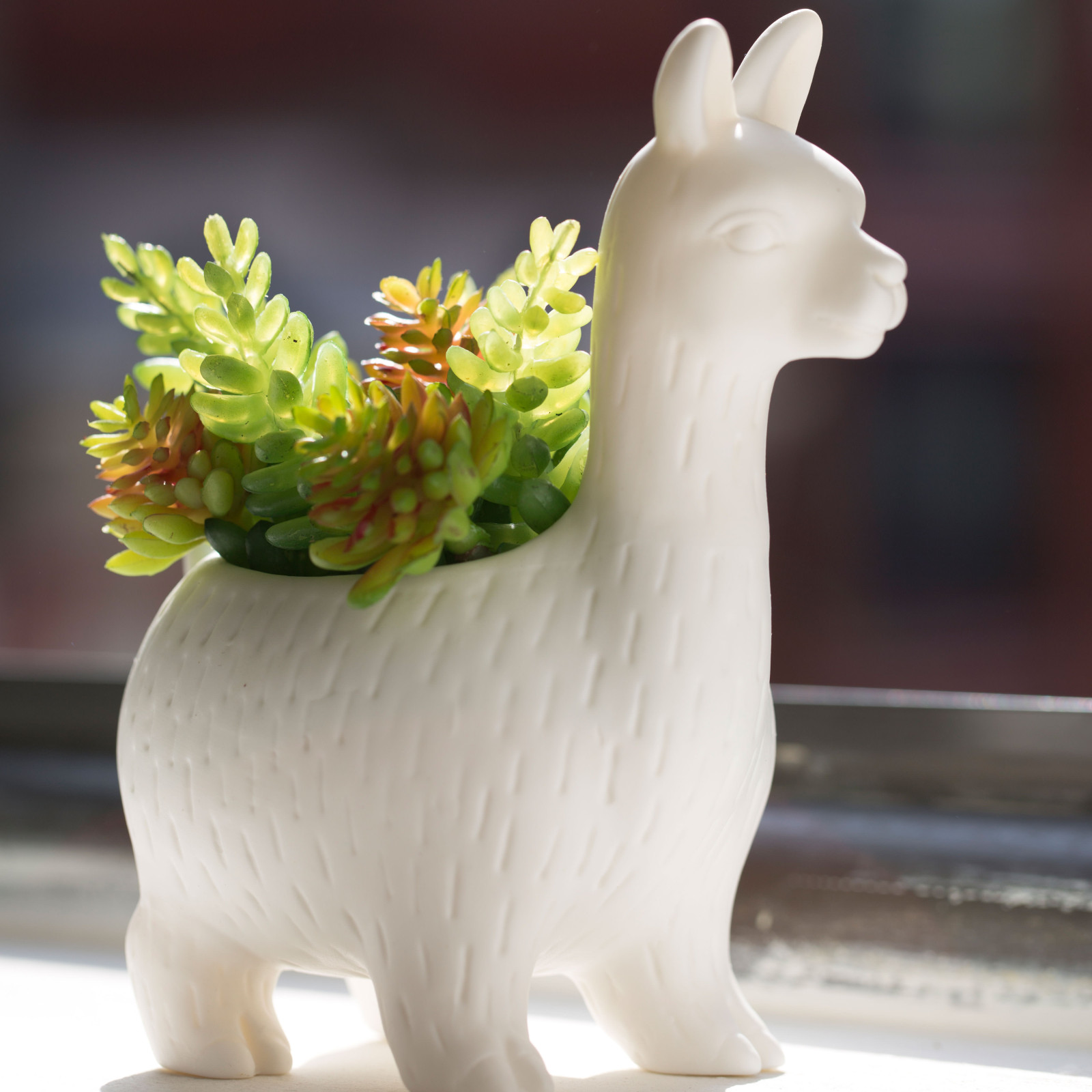 KIKKERLAND Daisy The Dackel Pflanzgefäß – Niedlicher Übertopf In Dackel-Form Für Sukkulenten & Kleine Pflanzen