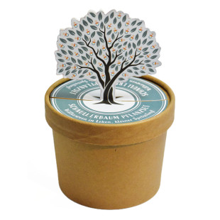Ein besonderes Geschenk zur Geburt des Babys! Wunschbaum Pflanzset von Wunderle: Papier-Pott mit Erde und Baumsamen (Ginkgobaum).